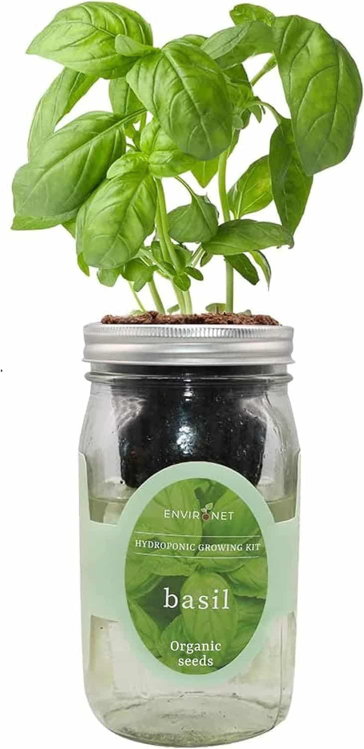 Gallon Kratky Container Mason Jaw Wide Mouth