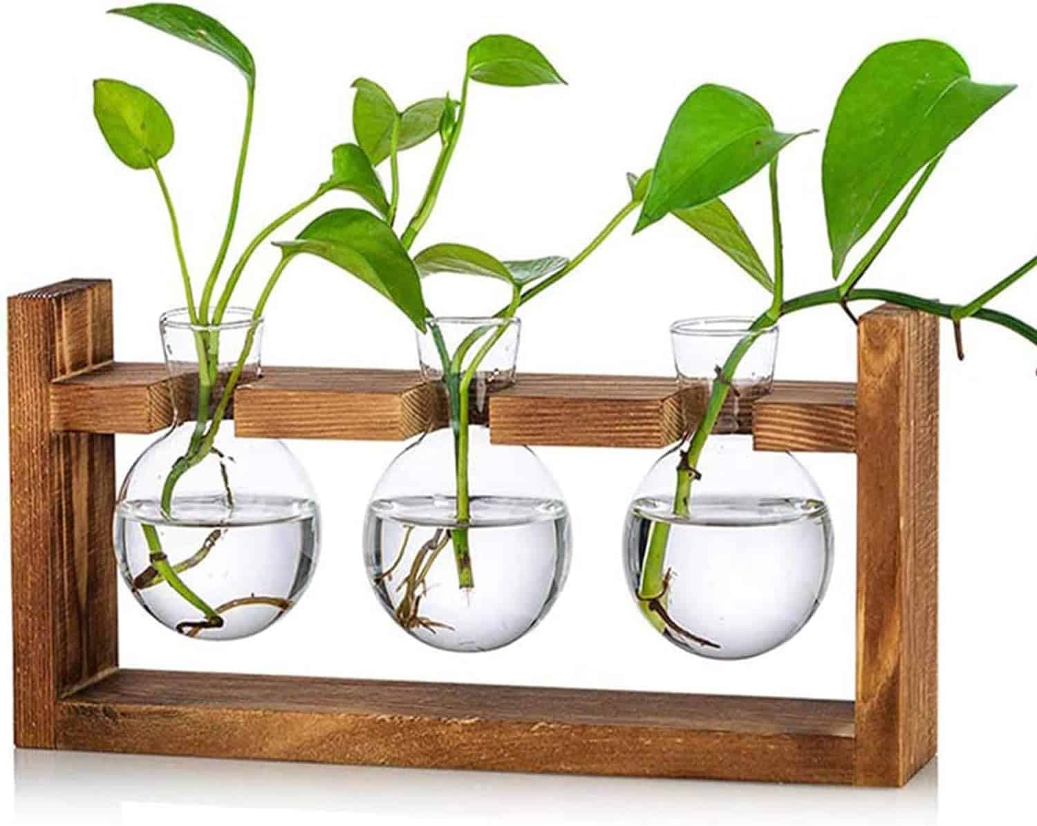 Small Kratky Containers for Clones and Seedlings