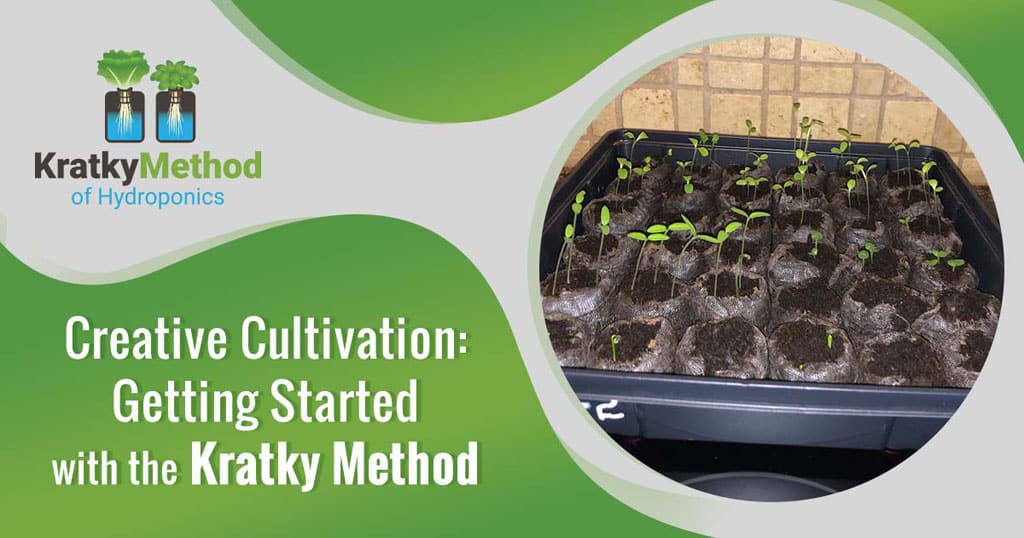 Creative Cultivation: Getting Started with the Kratky Method