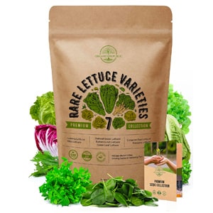 Organo Republic 7 Lettuce Seeds Variety Pack - Non-GMO Heirloom for Lettuce Hydroponic, Aerogarden, Indoor & Outdoors. 3800+ Seeds: Bibb, Romaine, Iceberg, Green Oakleaf, Red Leaf Lettuce