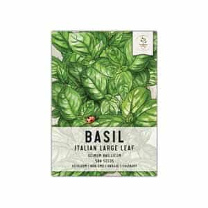 Large Leaf Italian Basil Seeds - Basil Packets