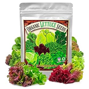 Organic Lettuce Seeds, Heirloom Vegetable Seed for Planting, 10 Varieties Fresh Salad Greens Seeds Gift Pack - Buttercrunch, Romaine, Iceberg, Boston, Bibb and More, Non-GMO