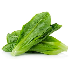 3000 Parris Island Cos Romaine Lettuce Seeds - 4+ Grams - Heirloom Non-GMO USA Grown Premium Vegetable Seeds for Planting - by RDR Seeds
