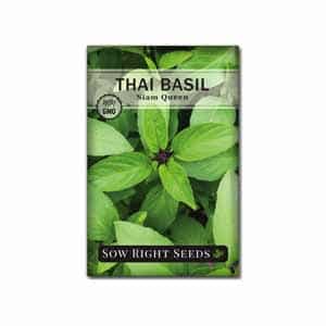 Thai Basil Hydroponic Seeds for Kratky Gardens